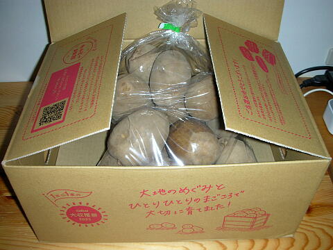 届いた賞品の写真(その2)